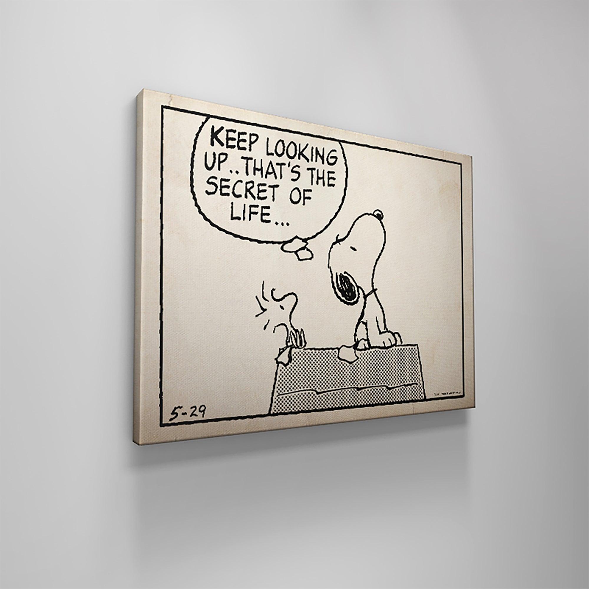 Peanuts - Keep Looking Up - Sketch