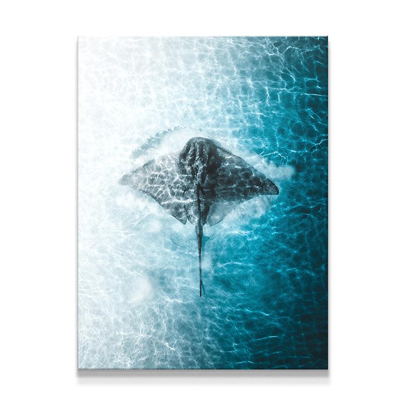 Ray Of The Day