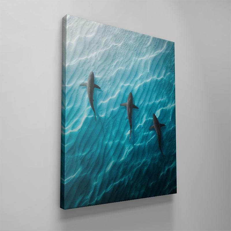 Shark Angle