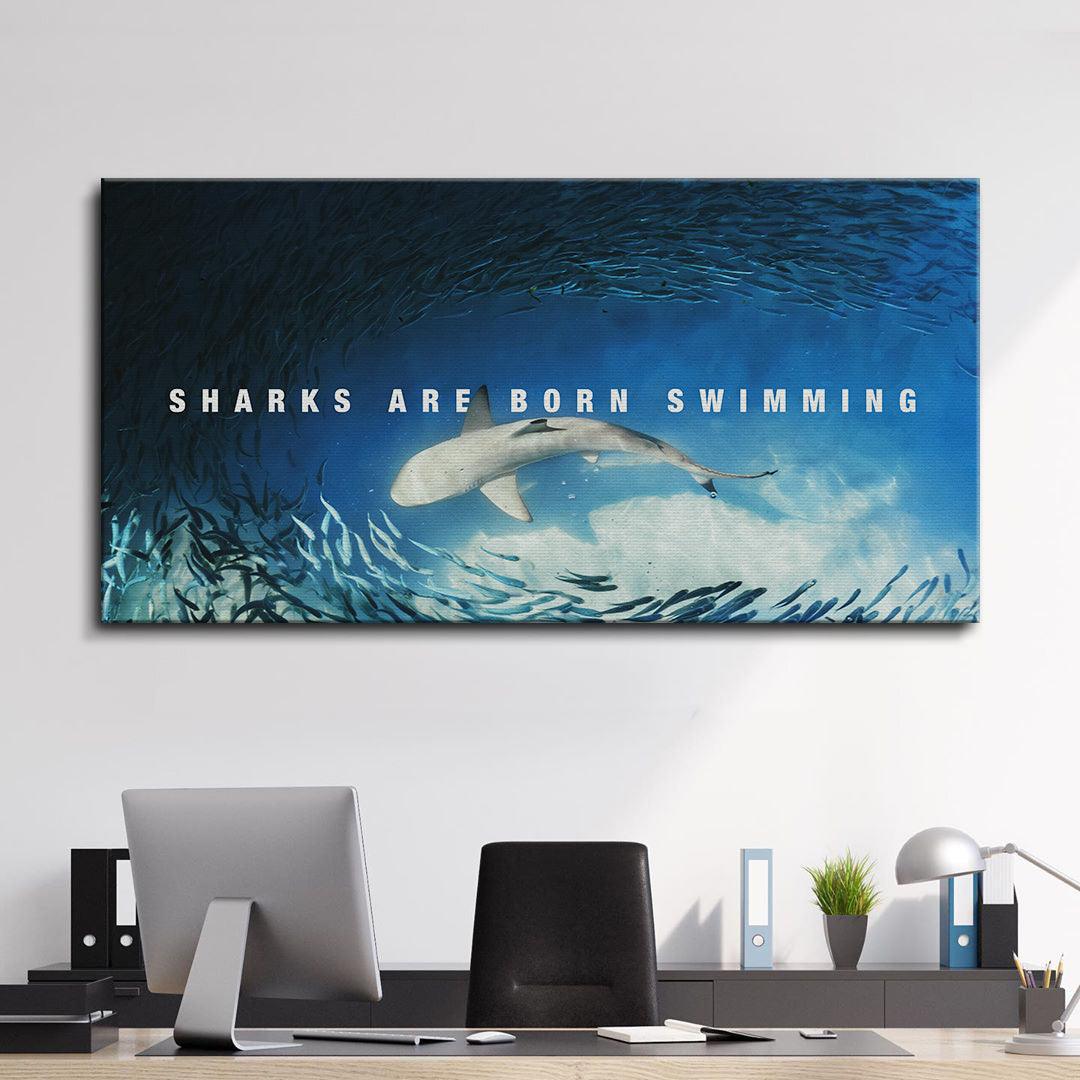 Sharks Are Born Swimming