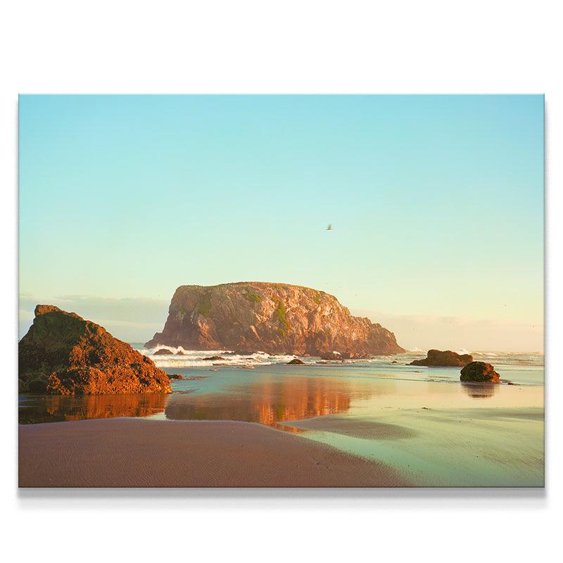 The Bird from Bandon