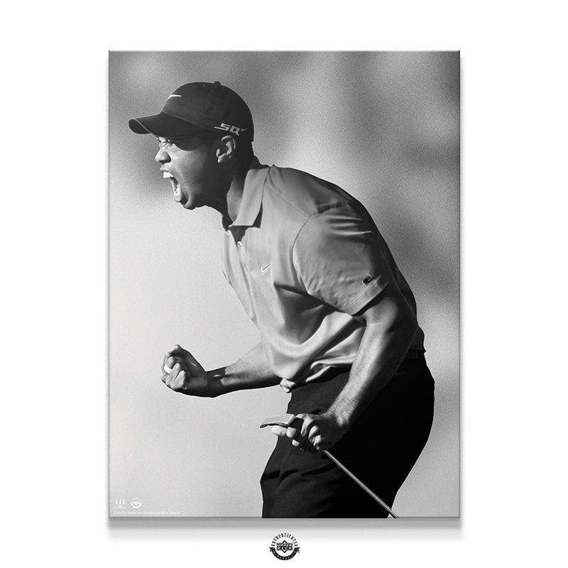 Tiger Woods - Roar