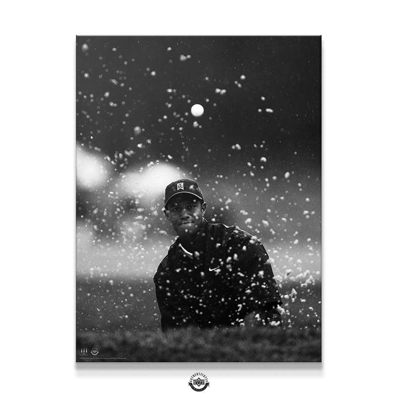 Tiger Woods - Splash