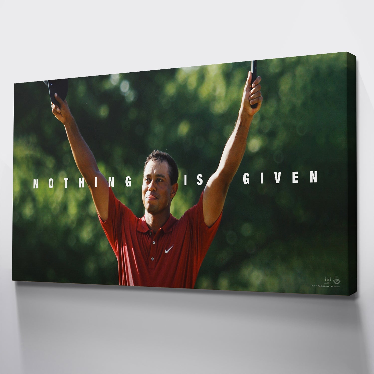 Tiger Woods - Nothing Is Given