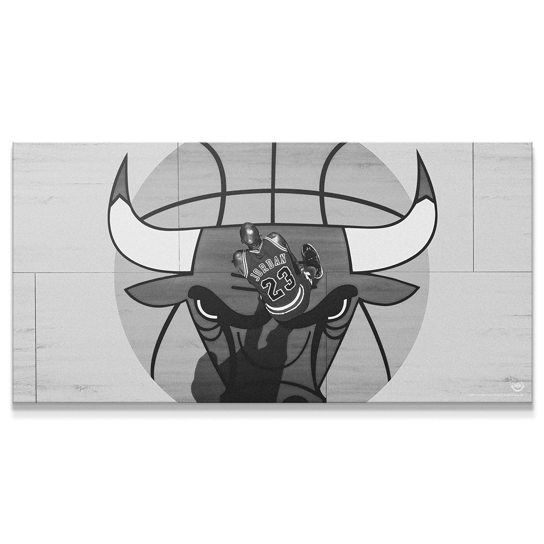 Michael Jordan - Center Court