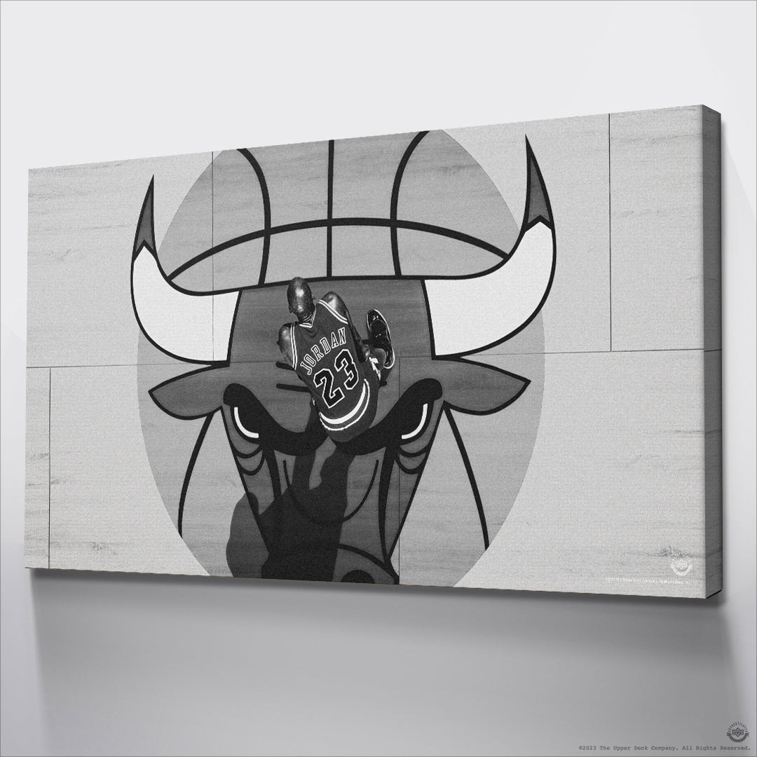 Michael Jordan - Center Court