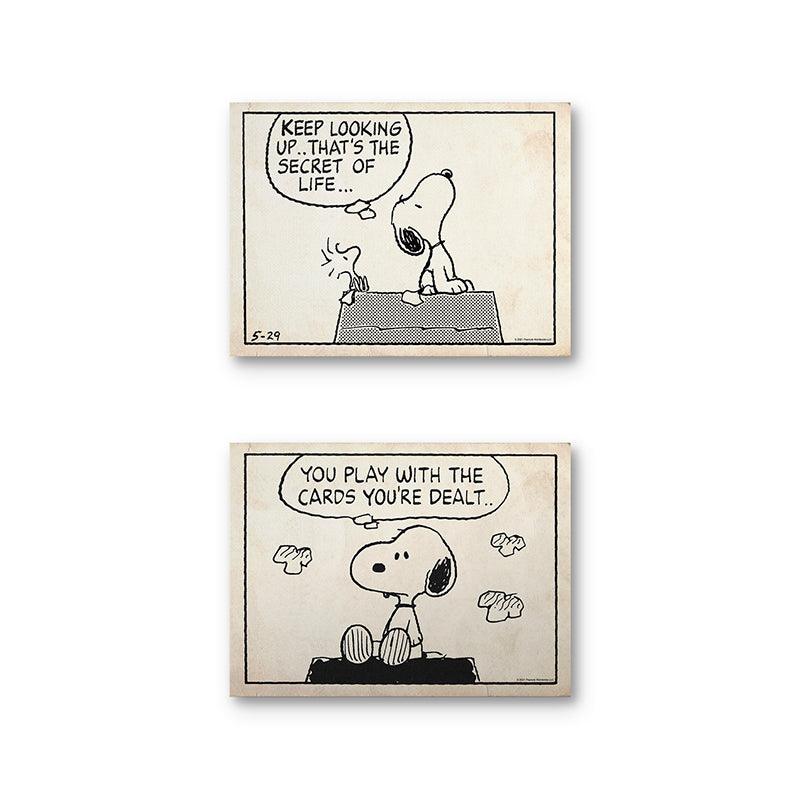 Peanuts Optimism Set - Sketch