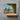 Framing Saguaros