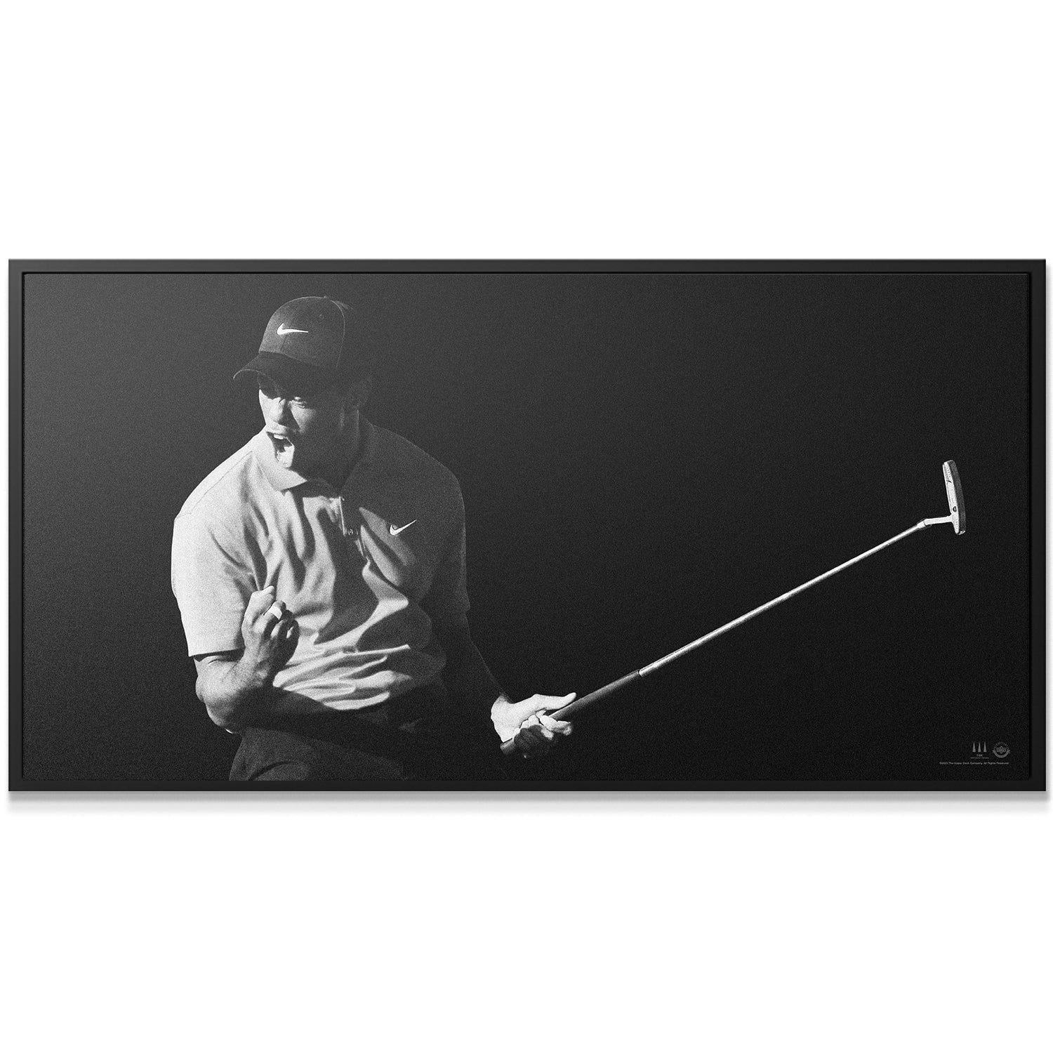 Tiger Woods - Flash