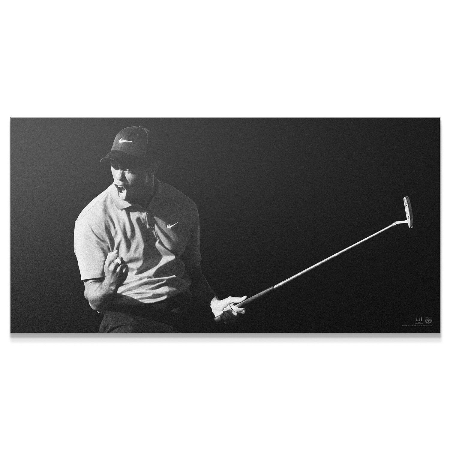 Tiger Woods - Flash
