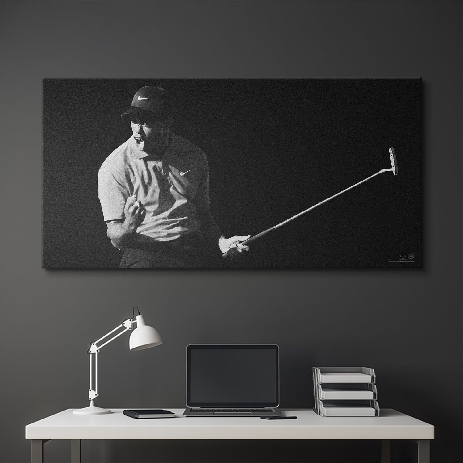 Tiger Woods - Flash